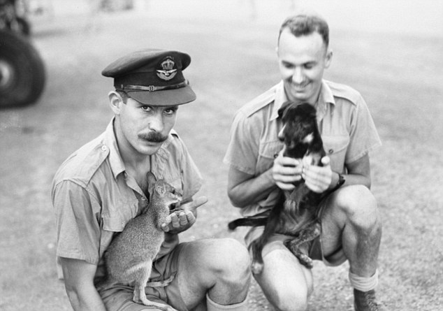 australian soldiers animals ww2