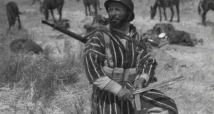 moroccan goumier soldier