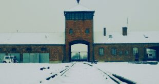 alone at auschwitz visit 2026