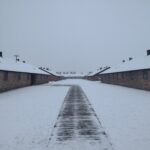 auschwitz birkenau barracks