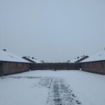 auschwitz birkenau sleep barracks