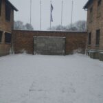 auschwitz death wall