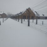 auschwitz fence