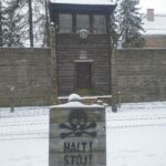 auschwitz halt