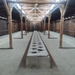 toilets auschwitz